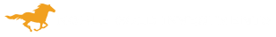 noble gold logo